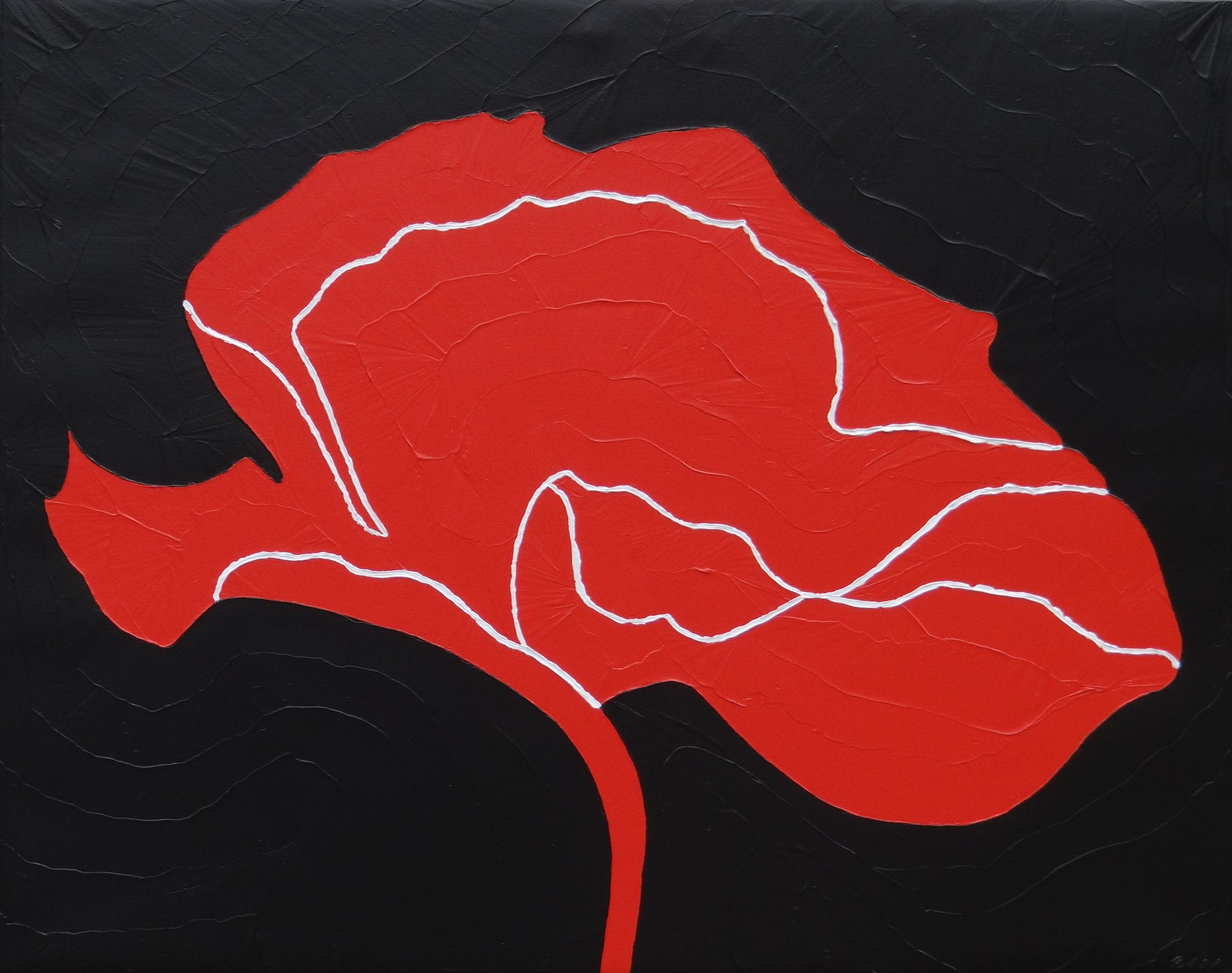 POPPY 38X48