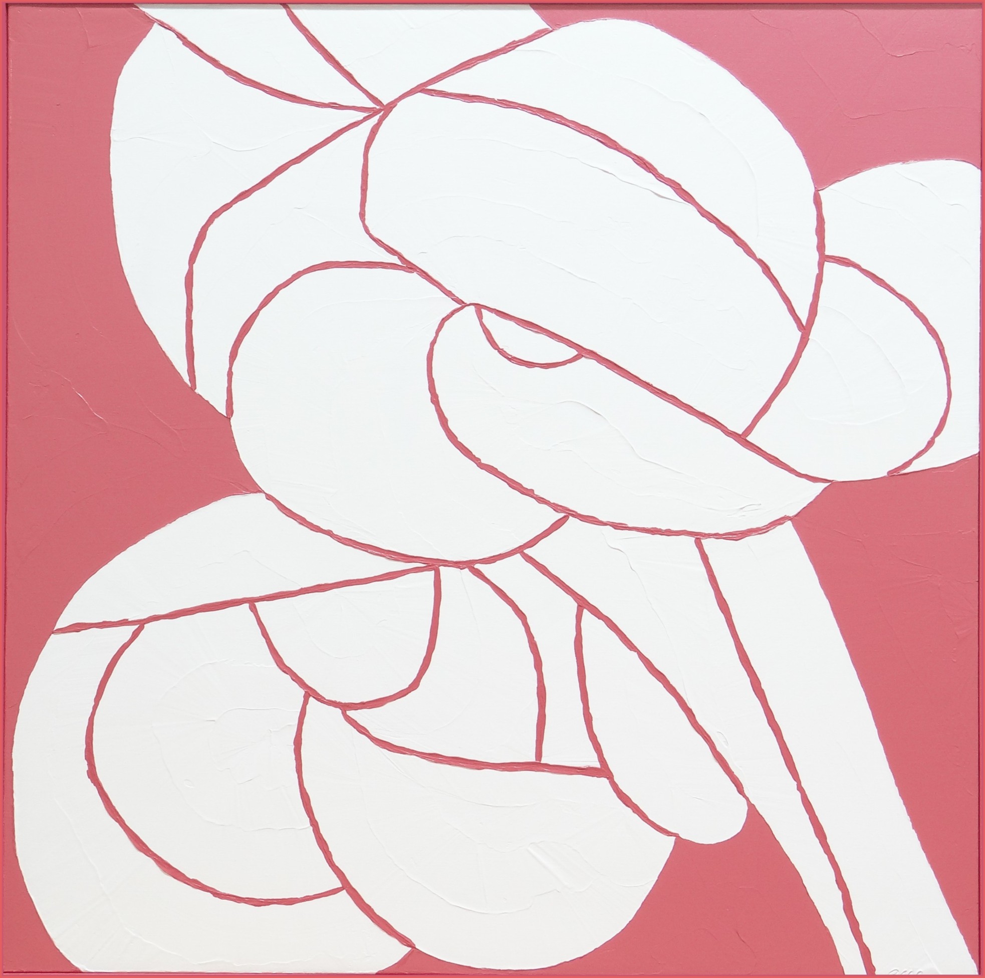 JAPANESE QUINCE 42X42