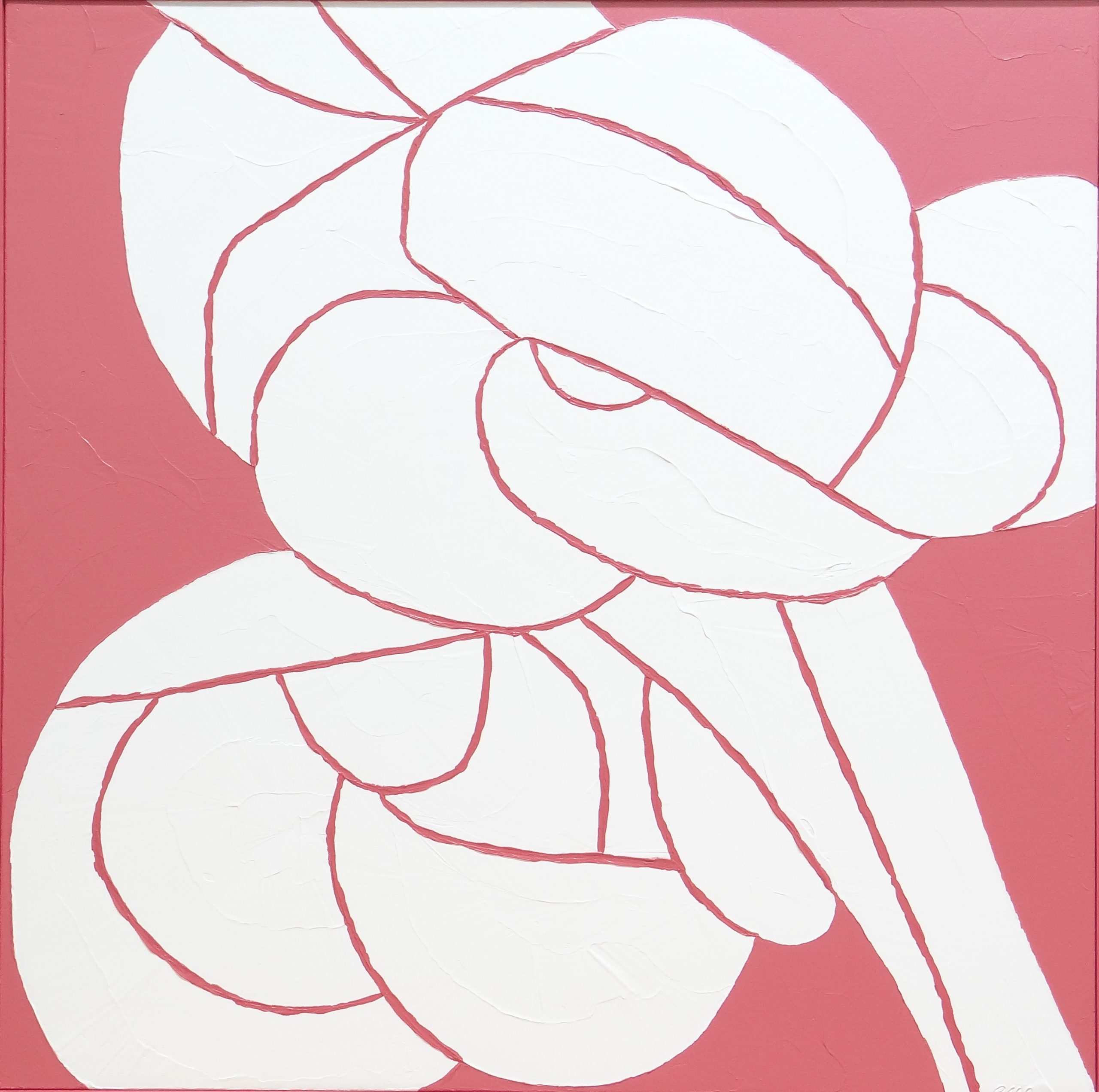 JAPANESE QUINCE 42X42