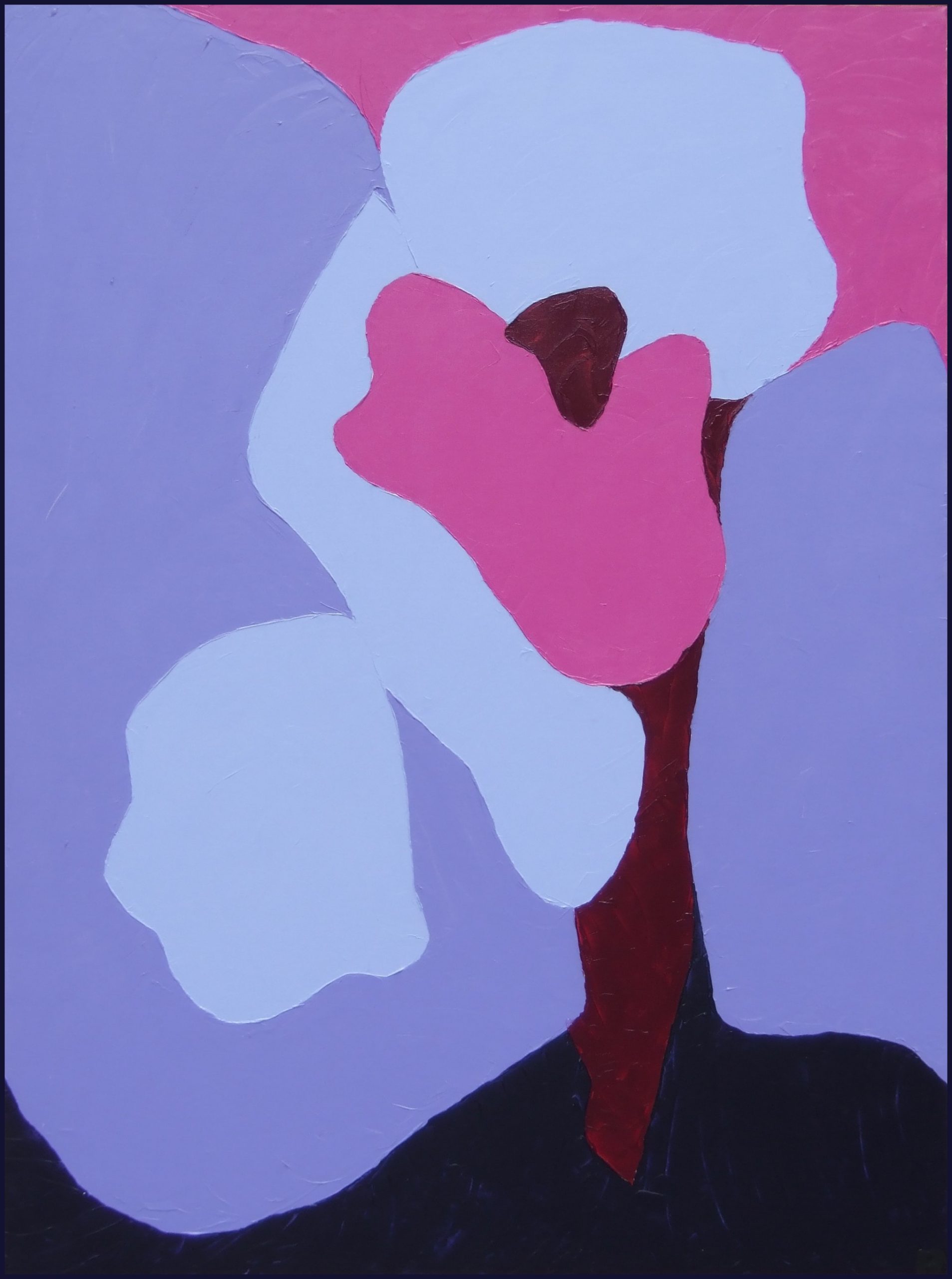CALLA LILY 48X36