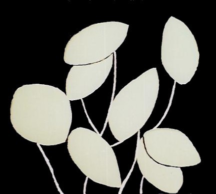 32-HONESTY-38X42-1993