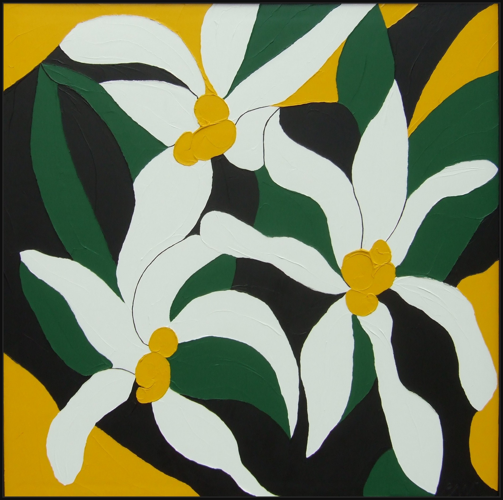 EDELWEISS 48X48