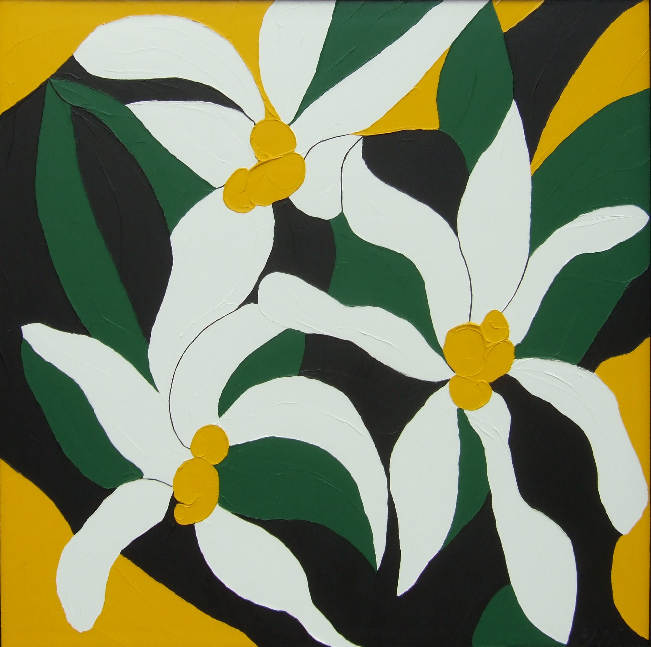 EDELWEISS 48X48