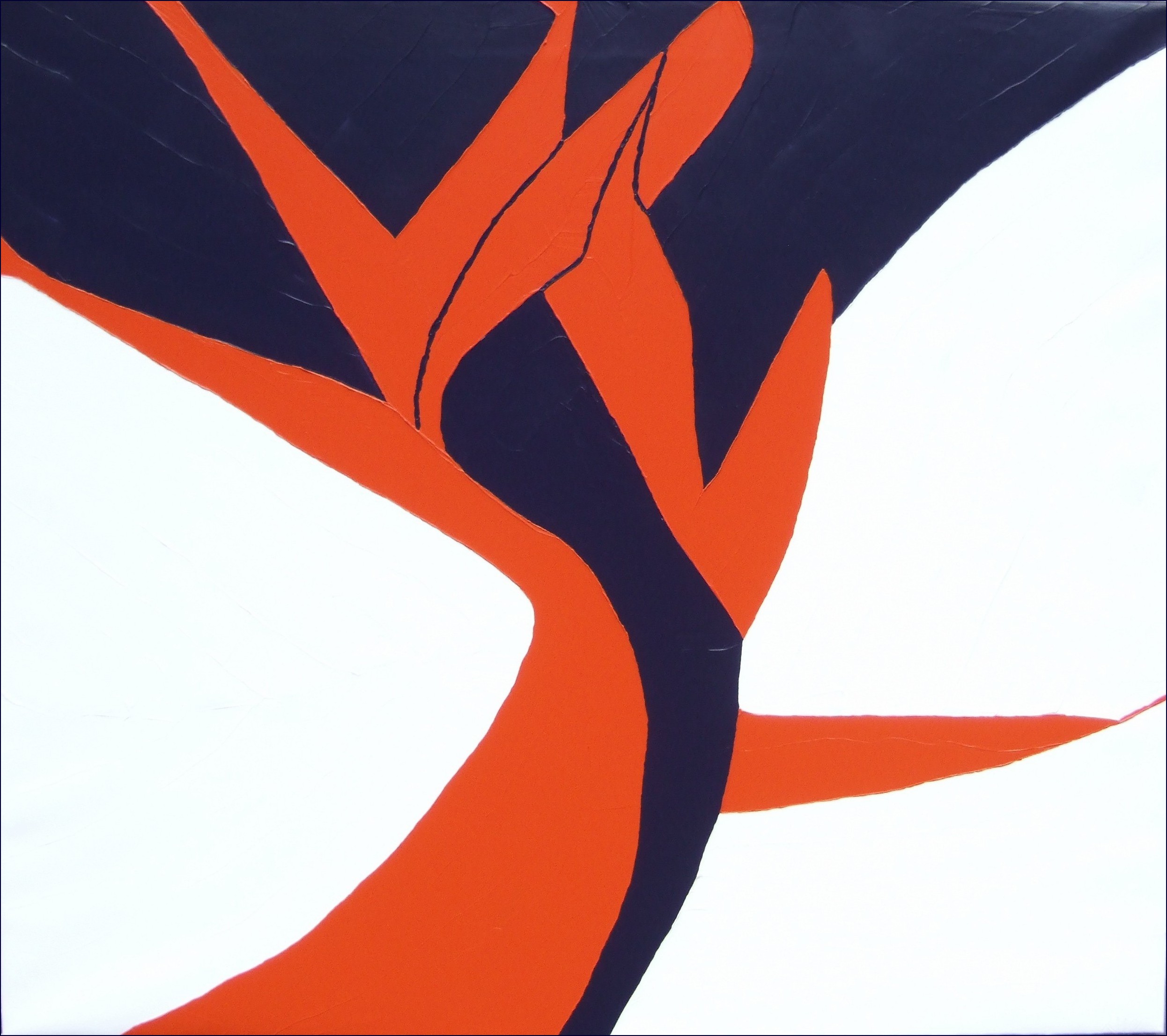 BIRD OF PARADISE 44X50